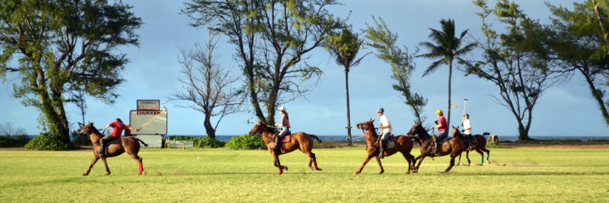 Polo players in Oahu